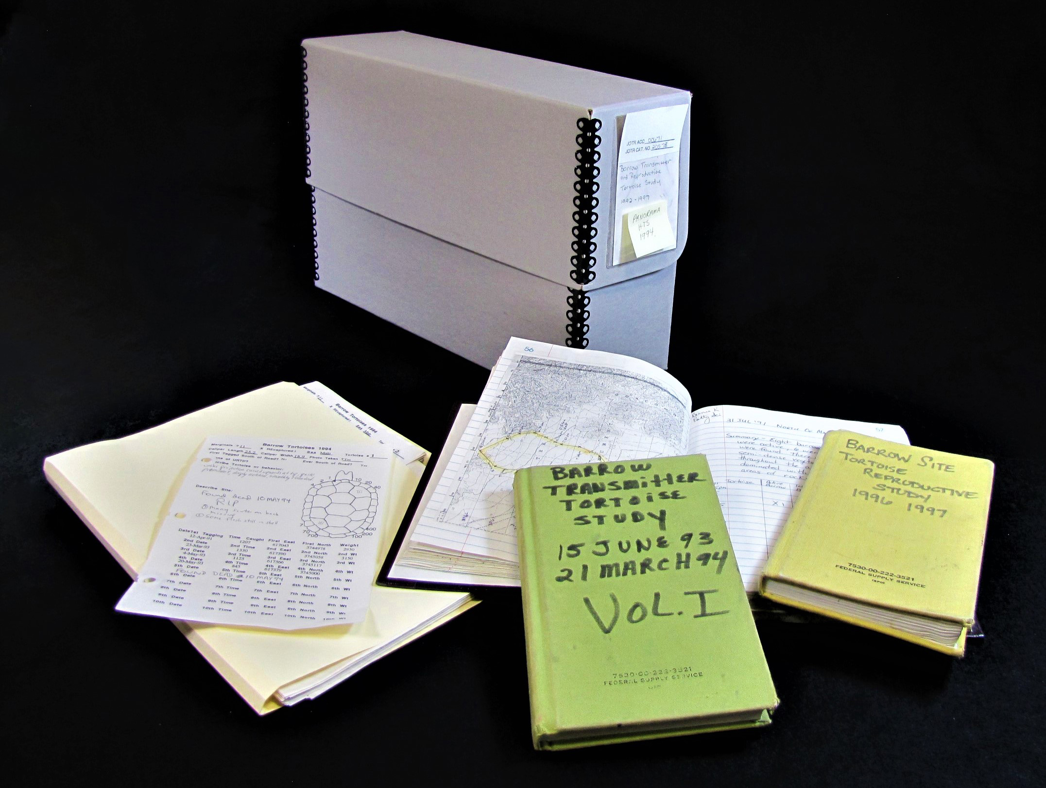 Desert Tortoise Study Field Notes